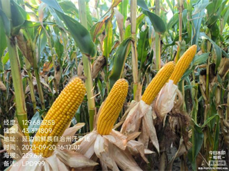 1747639795165471.png 圖片54.png